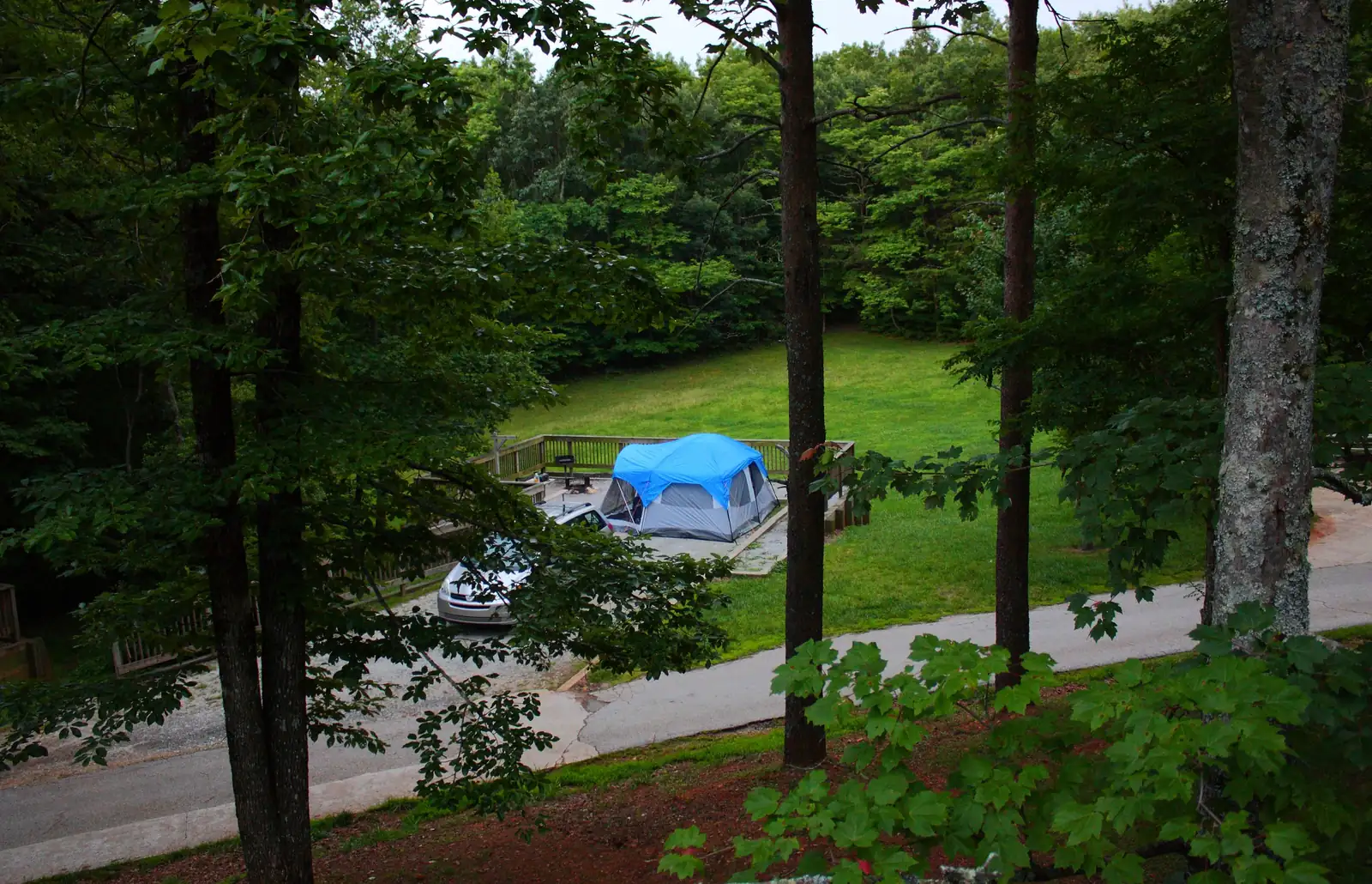 Looking down through tall tree trunks at a campsite: a blue dome tent on a gravel pad with a wooden deck/railing, a silver car parked beside it, a mowed green clearing and forest behind, a paved loop road in the foreground. Overcast, moody light; no people visible.