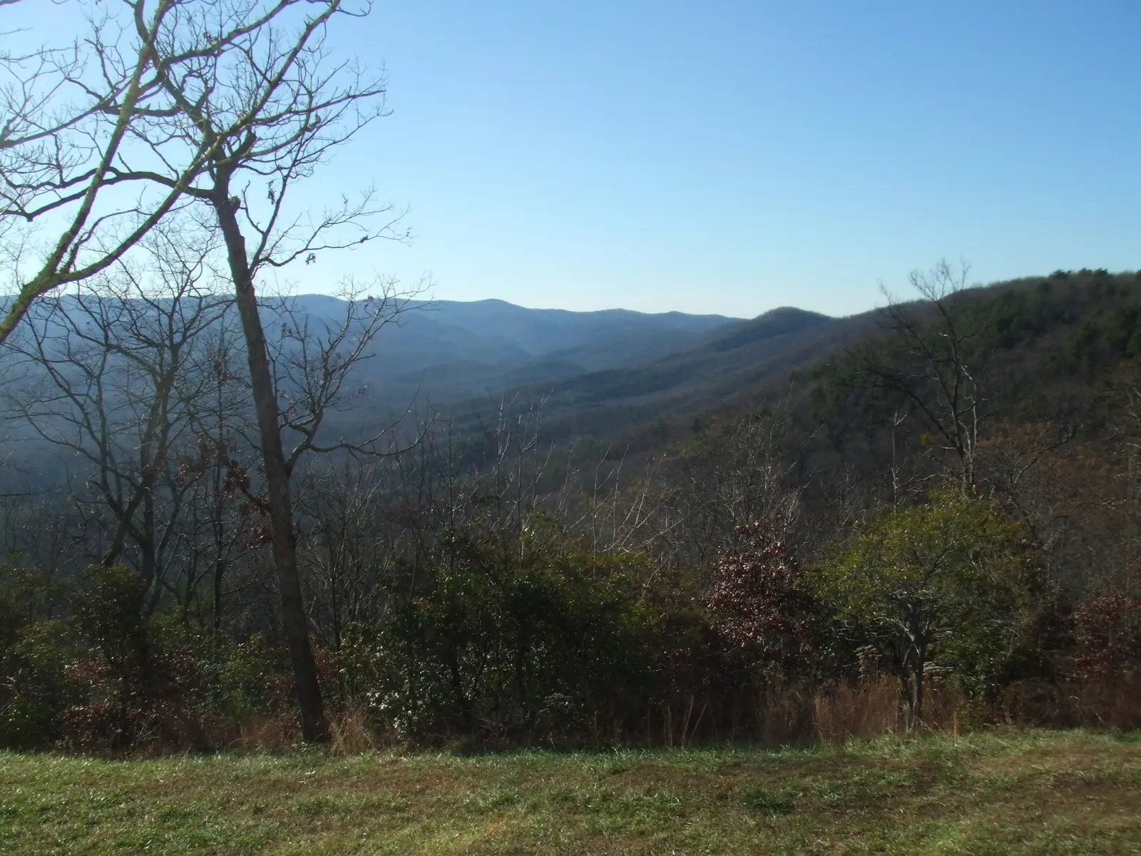Late-autumn view from a grassy lawn over bare and evergreen trees to blue folded ridges and a long valley under a cloudless blue sky; a tall bare tree on the left.