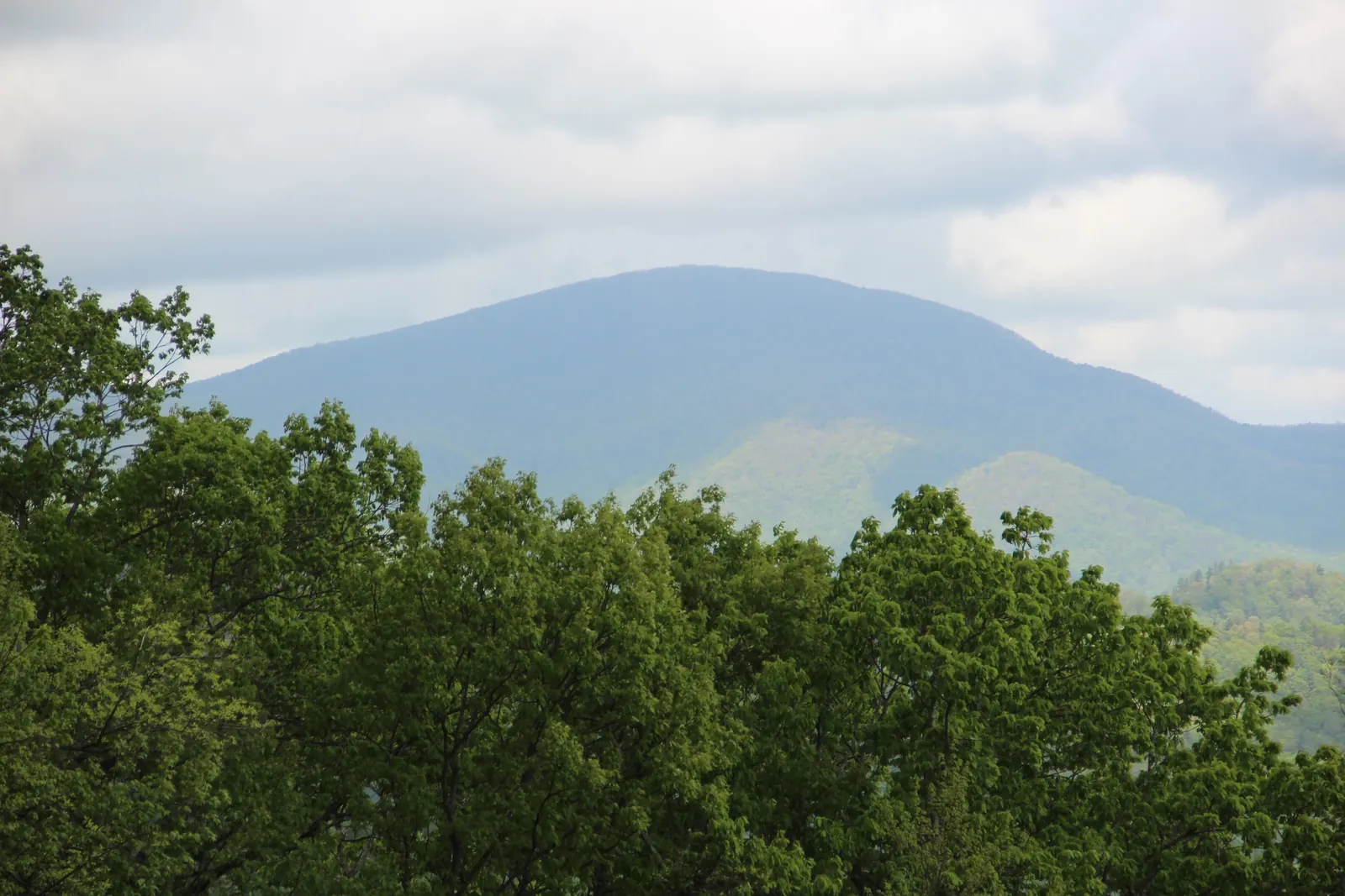 Rounded summit of Blood Mountain in soft blue haze rising above a band of bright green spring treetops, with lighter green lower ridges at right and a grey cloudy sky.