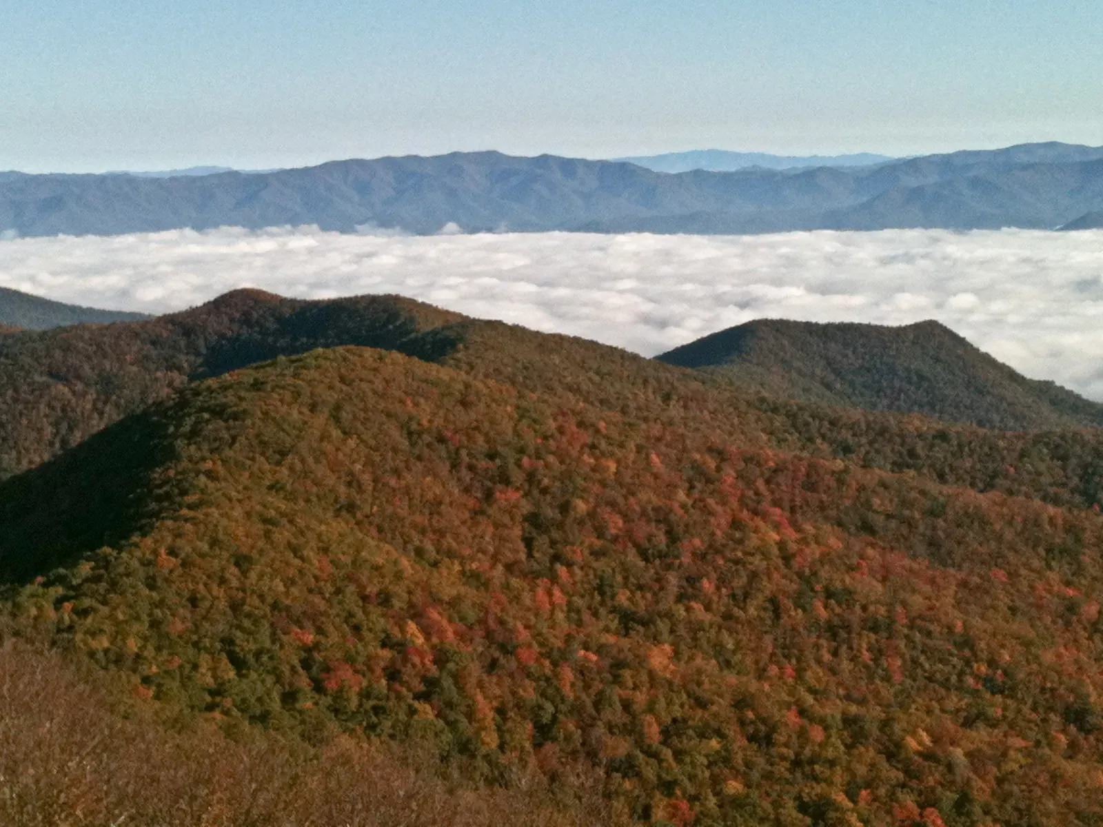 Early-morning view from a high summit: a foreground ridge in muted orange, rust and green fall foliage, a valley filled with a white sea of fog, and long blue mountain ranges on the horizon under a pale sky.