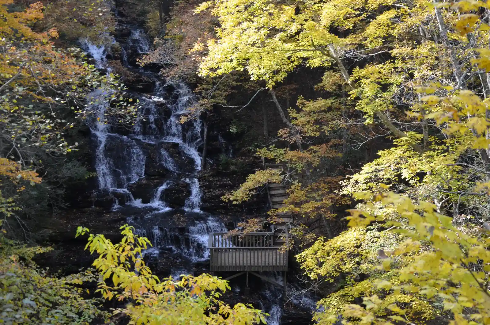 Trahlyta Falls cascading down dark stepped rock at left, framed by bright yellow and orange autumn leaves; a wooden viewing deck with stairs sits at center-right of the falls.