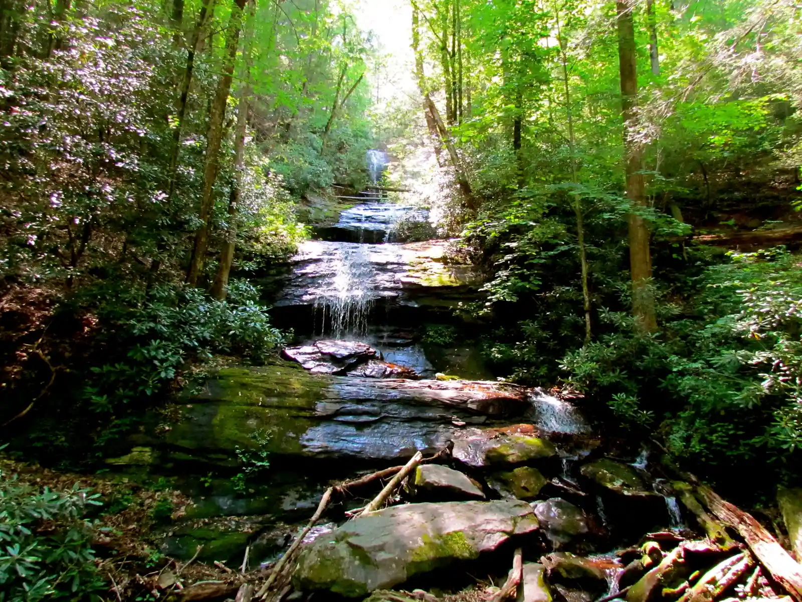 Stair-stepped cascade descending over mossy grey ledges toward the camera, a small white drop visible far back at top center, framed by tall trees and rhododendron in dappled summer light; rocks and fallen branches in the foreground.