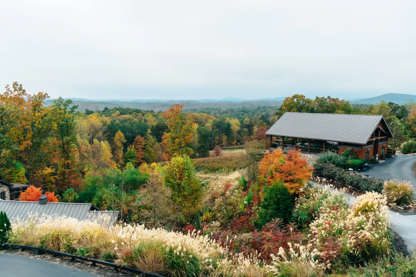 Elevated autumn view over a winery property: a large timber-and-stone pavilion with a metal roof at right, a curving drive, beds of pampas grass and red shrubs in the foreground, a strip of vineyard rows in the middle, and a sea of orange, gold and green trees rolling to a low blue mountain line under a white overcast sky.
